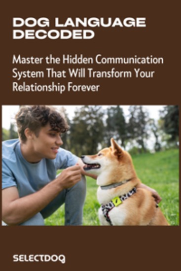 Dog Language Decoded - The Complete Guide to Understanding Every Signal Your Dog Sends - cover