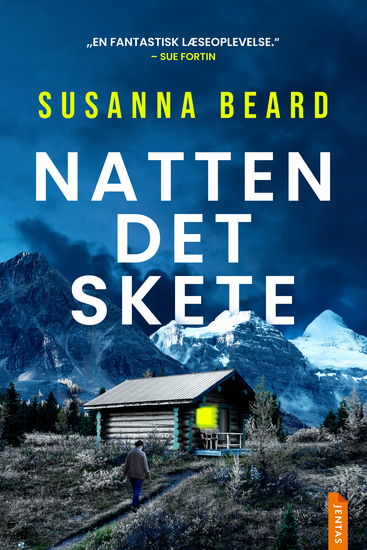 Natten det skete - cover