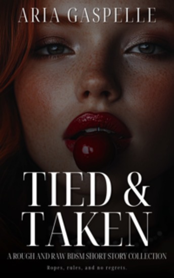 Tied & Taken - A Rough and Raw BDSM Short Story Collection - cover