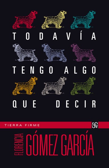 Todavía tengo algo que decir - cover