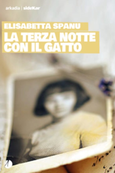 La terza notte con il gatto - cover