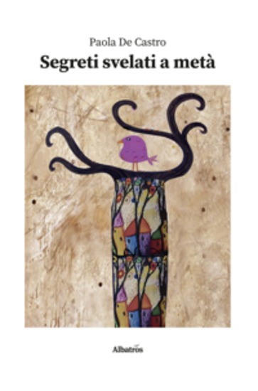 Segreti svelati a metà - cover