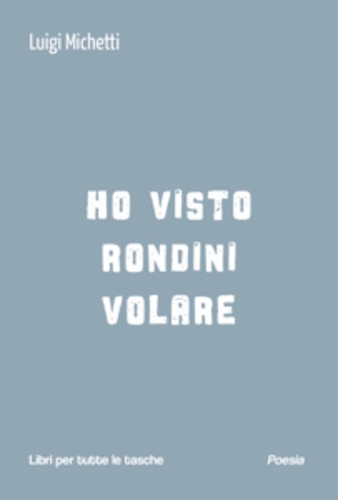 Ho visto rondini volare - cover