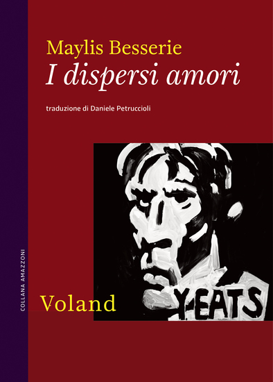 I dispersi amori - cover