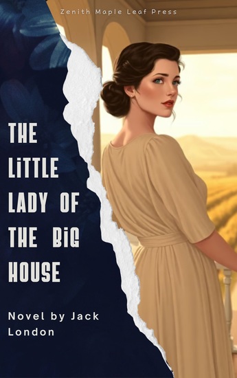 The Little Lady of the Big House - A Passionate Tale of Love Marriage and Desire - cover