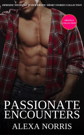 Passionate Encounters - Immerse Yourself in Our Erotic Short Stories Collection - cover