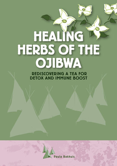 Healing Herbs of the Ojibwa - Rediscovering a tea for detox and immune boost - cover