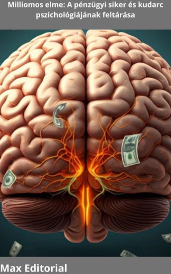 Milliomos elme - A pénzügyi siker és kudarc pszichológiájának feltárása - cover