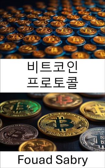비트코인 프로토콜 - 컬러드 코인에서 디지털 머니와 블록체인 혁신의 기반을 공개합니다 - cover