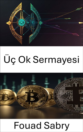 Üç Ok Sermayesi - Merkezi Olmayan Finans Dünyasında Kaldıraçların Yükselişi ve Düşüşü - cover