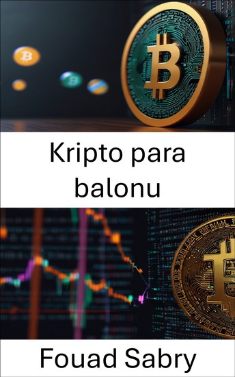 Kripto para balonu - Piyasa çılgınlıklarını ve dijital varlık değerlemesinin yanılgılarını açığa çıkarmak - cover