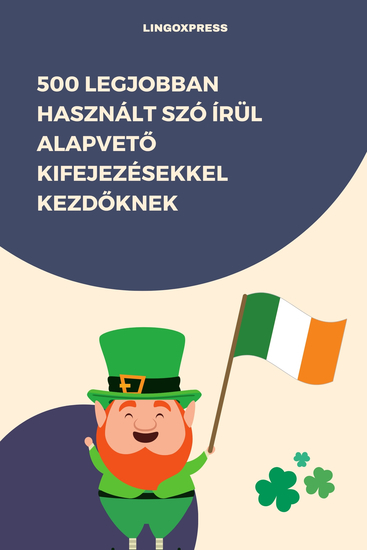 500 Legjobban Használt Szó Írül Alapvető Kifejezésekkel Kezdőknek - cover