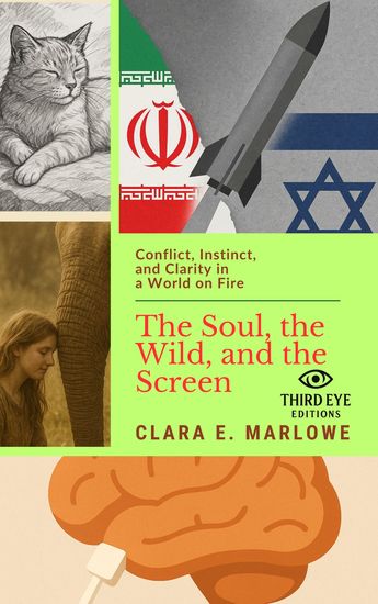 The Soul the Wild and the Screen - Conflict Instinct and Clarity in a World on Fire - cover