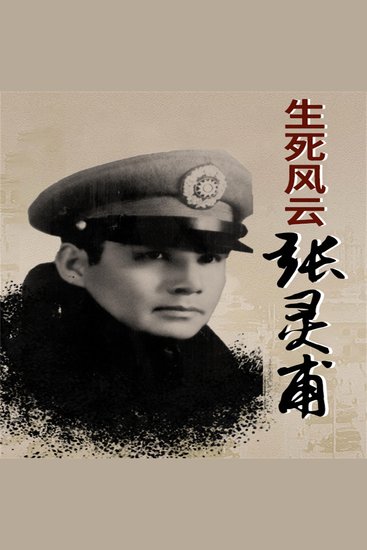 生死风云张灵甫 - cover