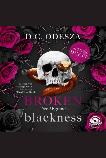 Der Abgrund - Broken Blackness Band 4 (Ungekürzt) - cover