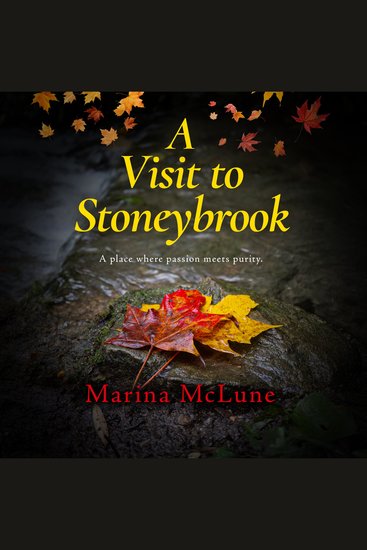 A Visit to Stoneybrook - cover