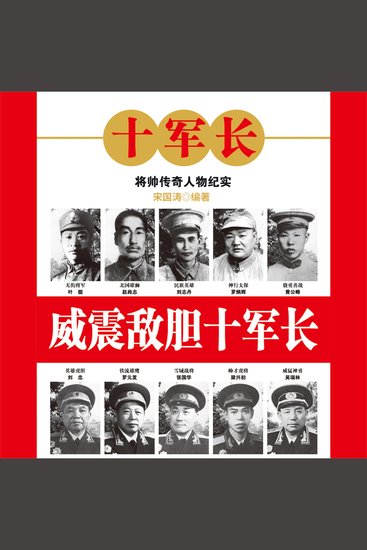 威震敌胆十军长 - cover