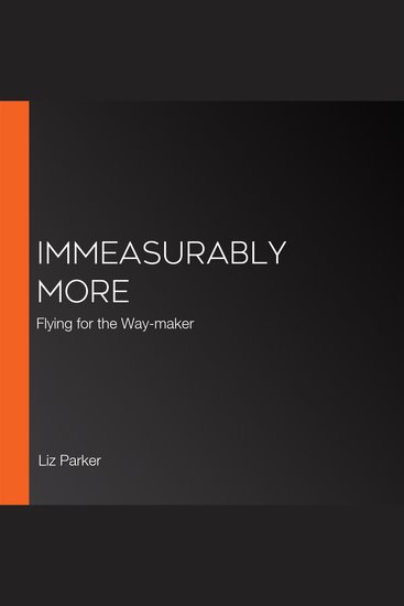 Immeasurably More - Flying for the Way-maker - cover