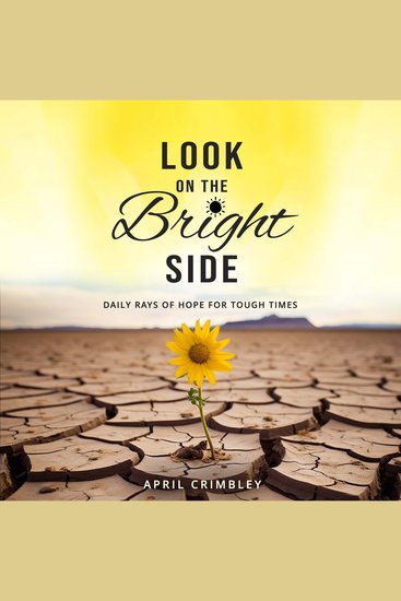 Look on the Bright Side - Daily Rays of Hope for Tough Times - cover
