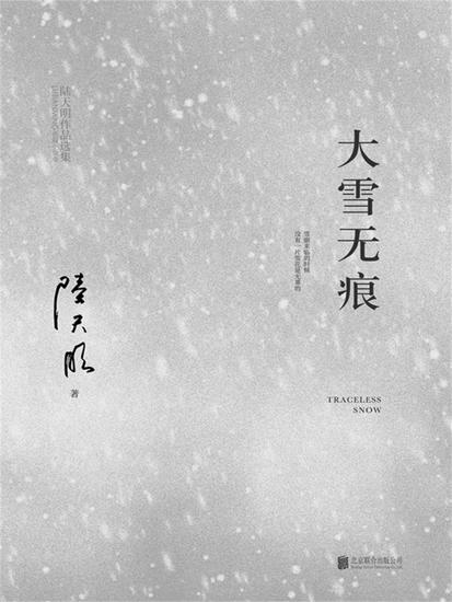 大雪无痕 - cover