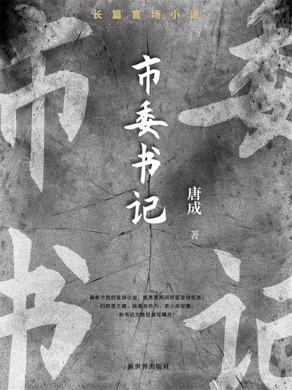 市委书记 - cover