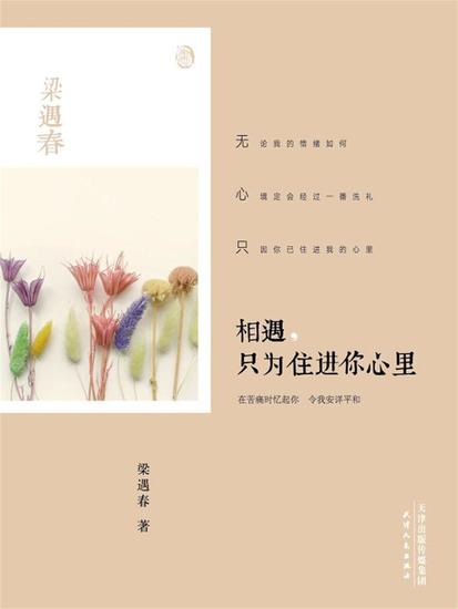 相遇，只为住进你心里 - cover