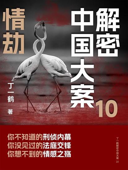 解密中国大案10：情劫 - cover