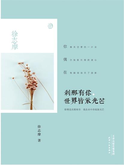 刹那有你，世界皆示光芒 - cover