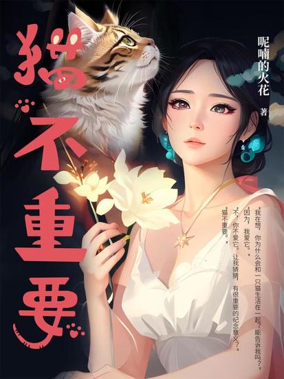 猫不重要 - cover