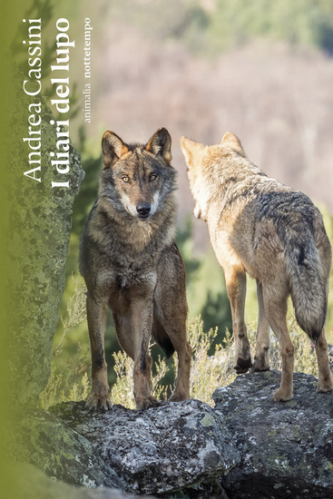 I diari del lupo - cover