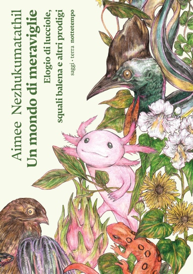 Un mondo di meraviglie - Elogio di lucciole squali balena e altri prodigi - cover