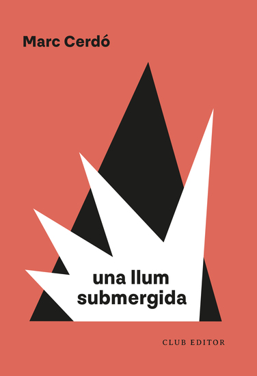 Una llum submergida - cover