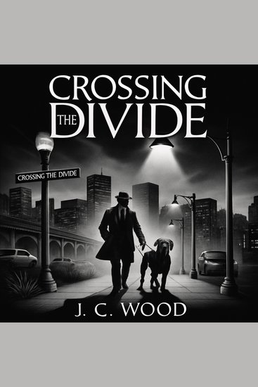 Crossing the Divide - cover