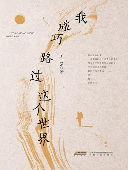 我碰巧路过这个世界 - cover