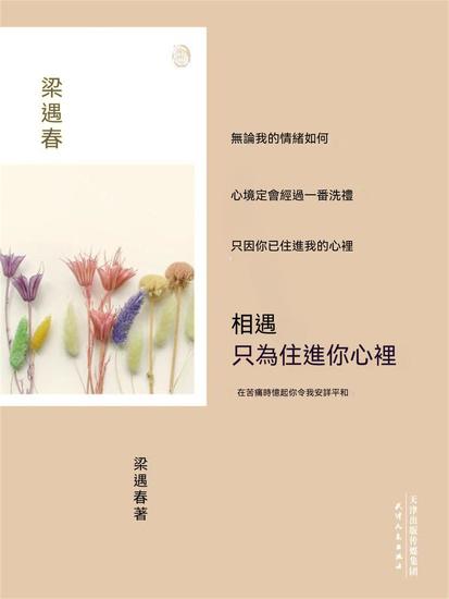 相遇，只為住進你心裏 - 繁體中文版 - cover