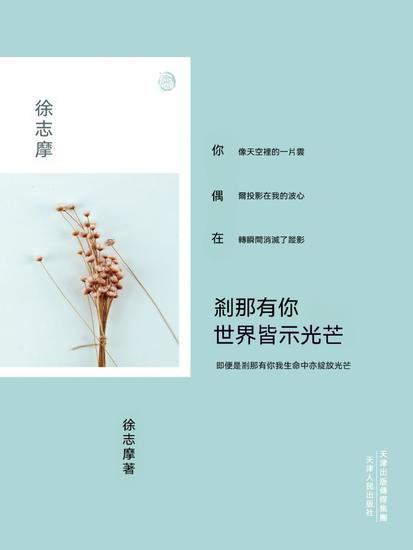 刹那有你，世界皆示光芒 - 繁體中文版 - cover