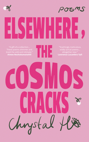 Elsewhere the Cosmos Cracks - cover