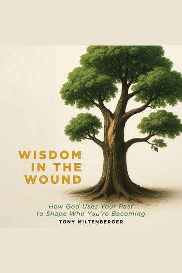 Wisdom in the Wound - How God Uses Your Past to Shape Who You're Becoming - cover