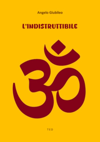 L'indistruttibile - cover