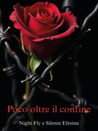Poco oltre il confine - cover