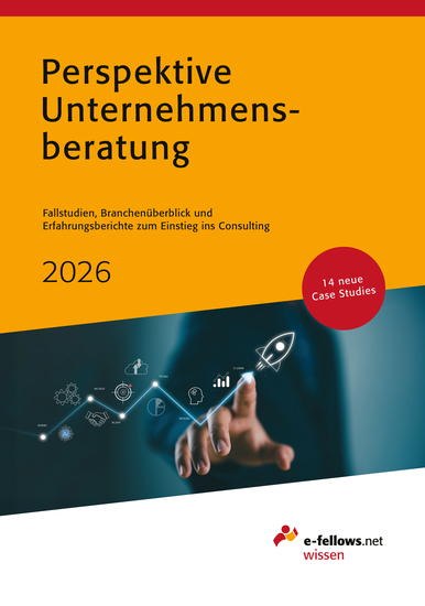Perspektive Unternehmensberatung 2026 - Fallstudien Branchenüberblick und Erfahrungsberichte zum Einstieg ins Consulting - cover