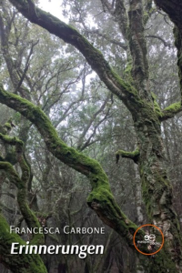 Erinnerungen - cover