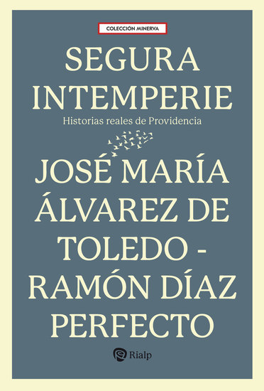 Segura intemperie - Historia reales de Providencia - cover