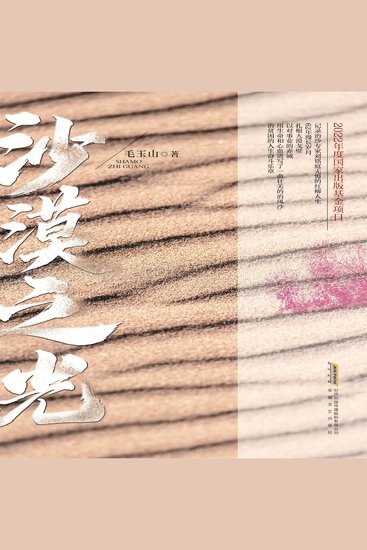 沙漠之光 - cover