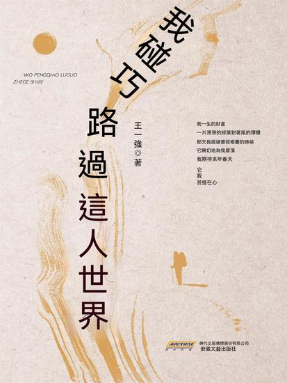 我碰巧路過這個世界 - 繁體中文版 - cover