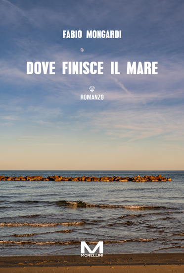 Dove finisce il mare - cover