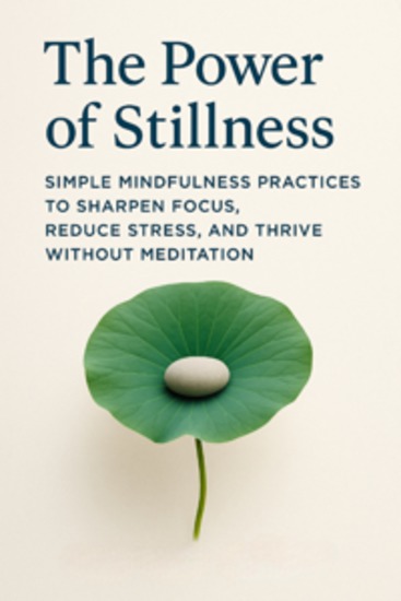 The Power of Stillness Simple Mindfulness Practices to Sharpen Focus Reduce Stress and Thrive Without Meditation - cover