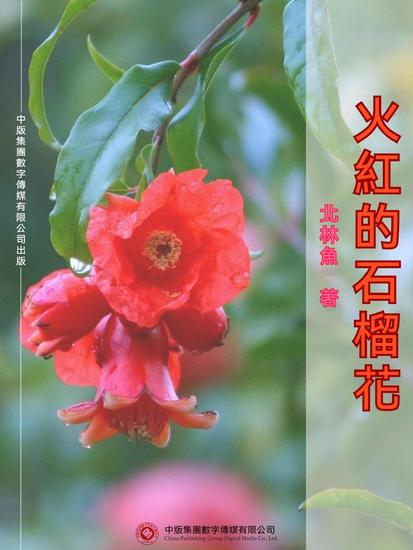 火紅的石榴花 - 繁體中文版 - cover