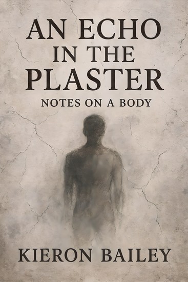 An Echo in the Plaster - Notes on a Body - cover