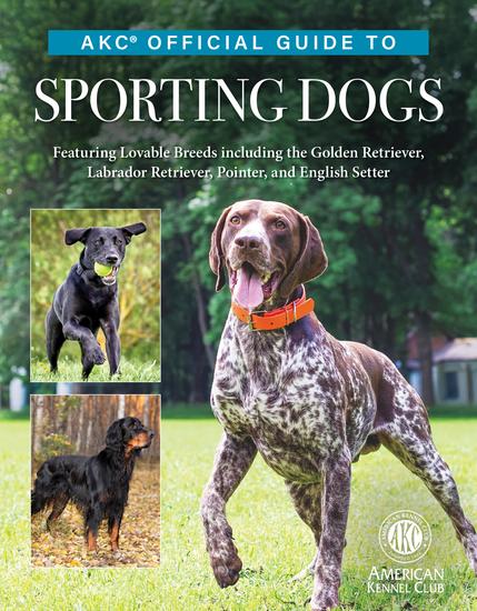 AKC Official Guide to Sporting Dogs - Featuring Lovable Breeds including the Golden Retriever Labrador Retriever Pointer and English Setter - cover